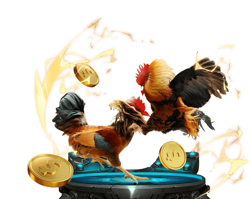 Cá cược bóng đá gi88